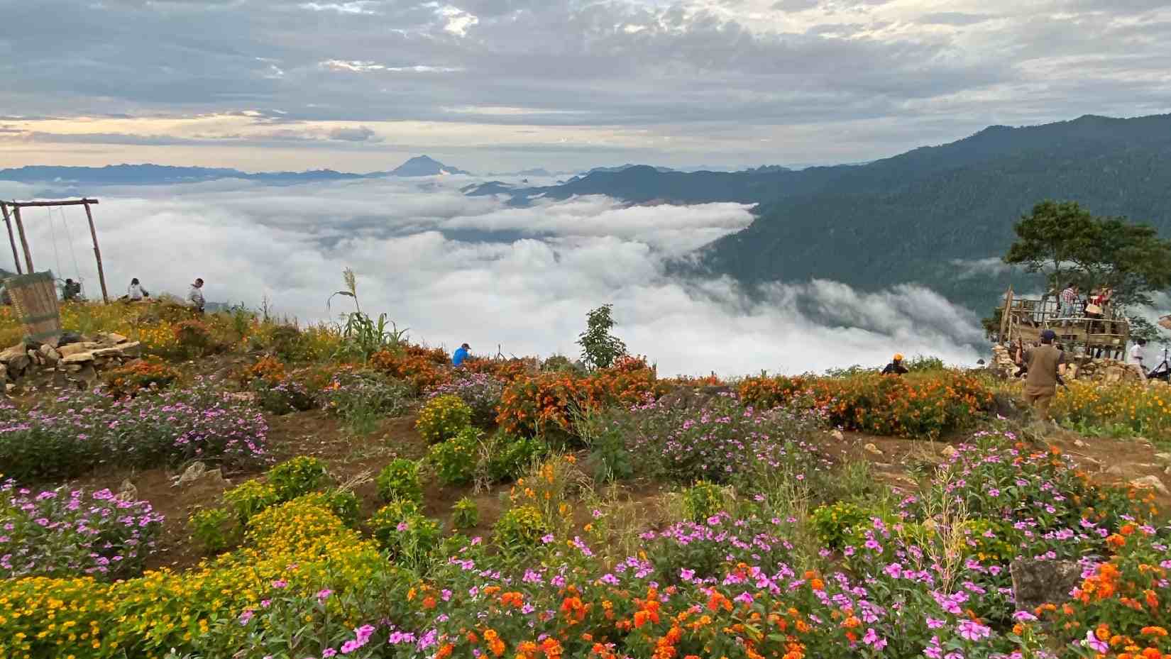 What Makes Valley Of Flowers In Badrinath So Special?